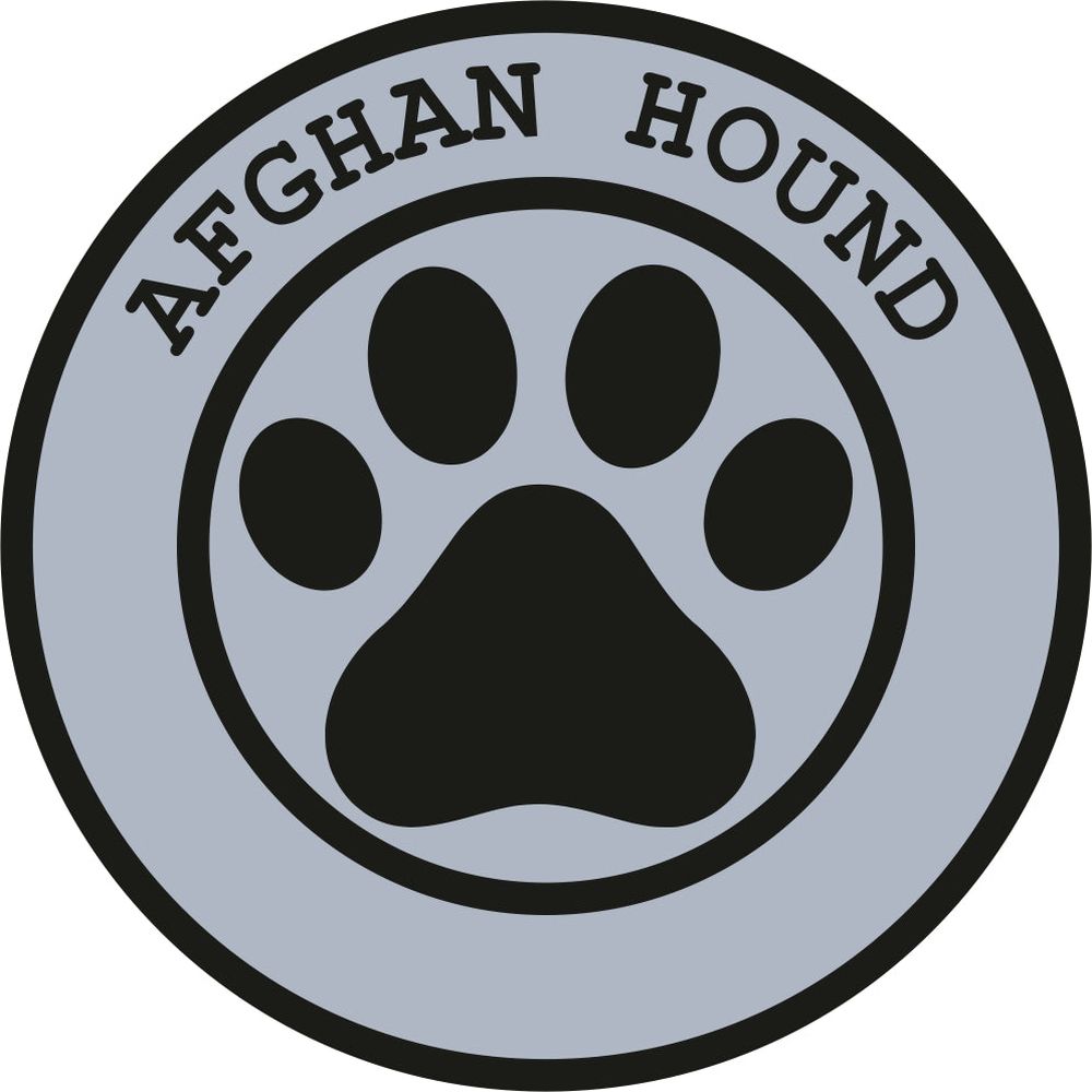 Afghan Hound