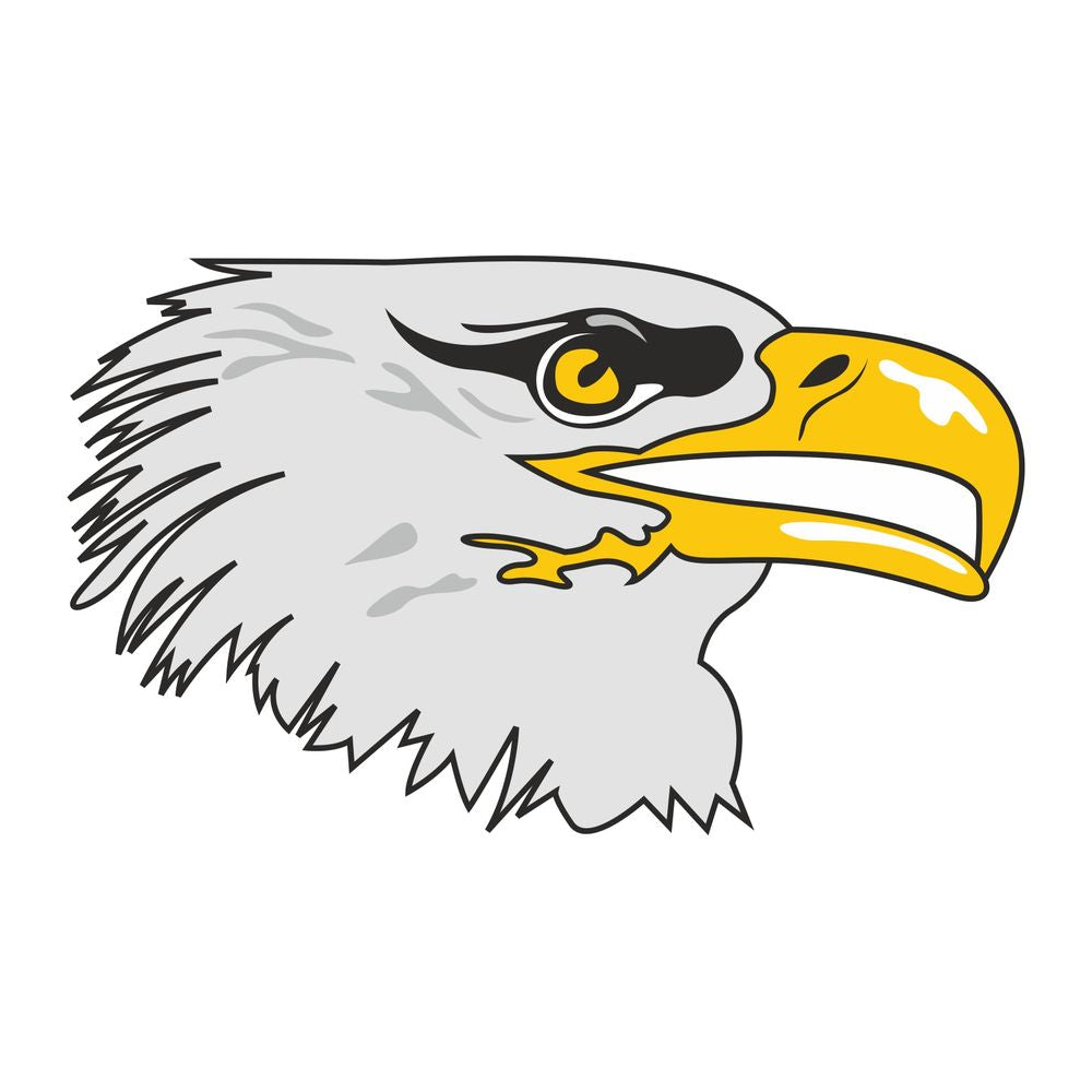 American Eagle Flag