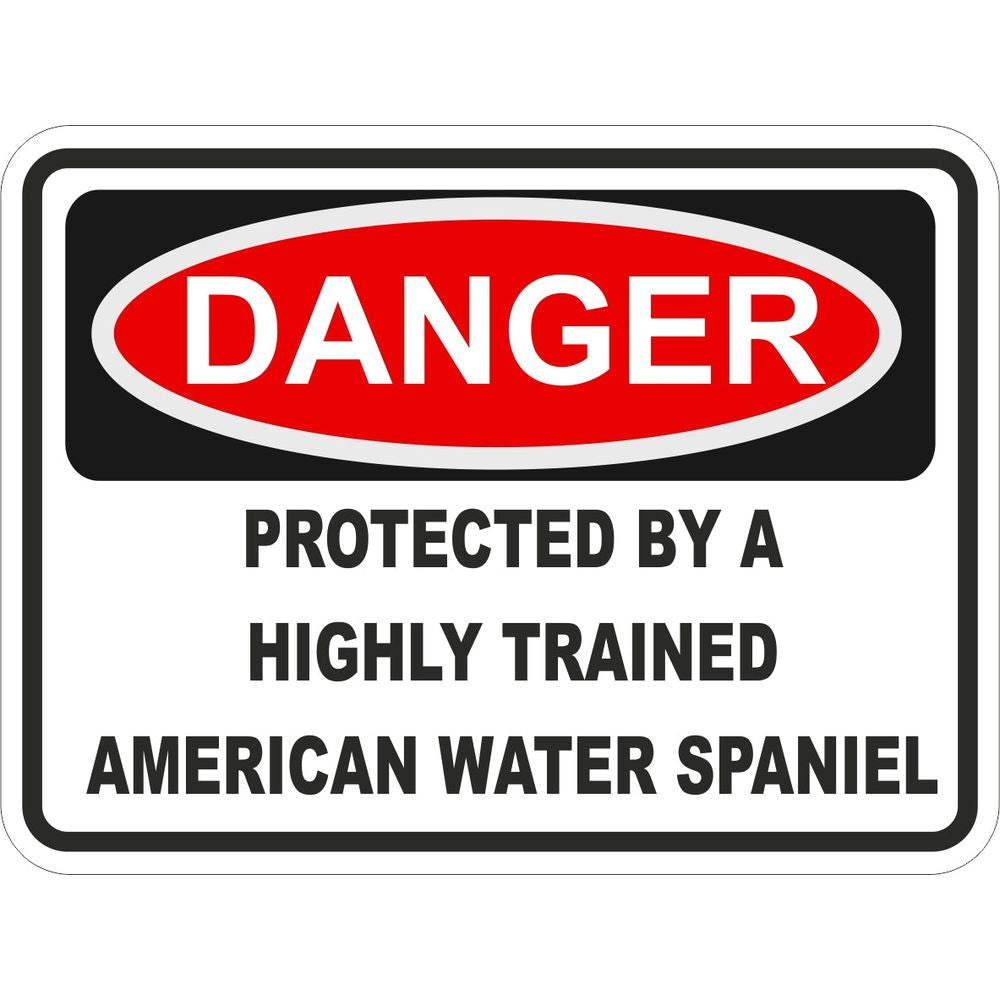 American Water Spaniel