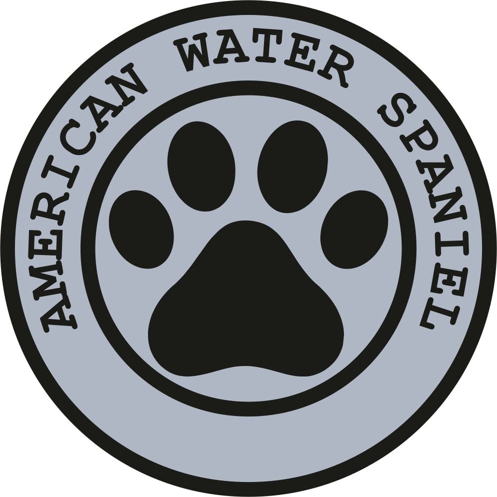 American Water Spaniel