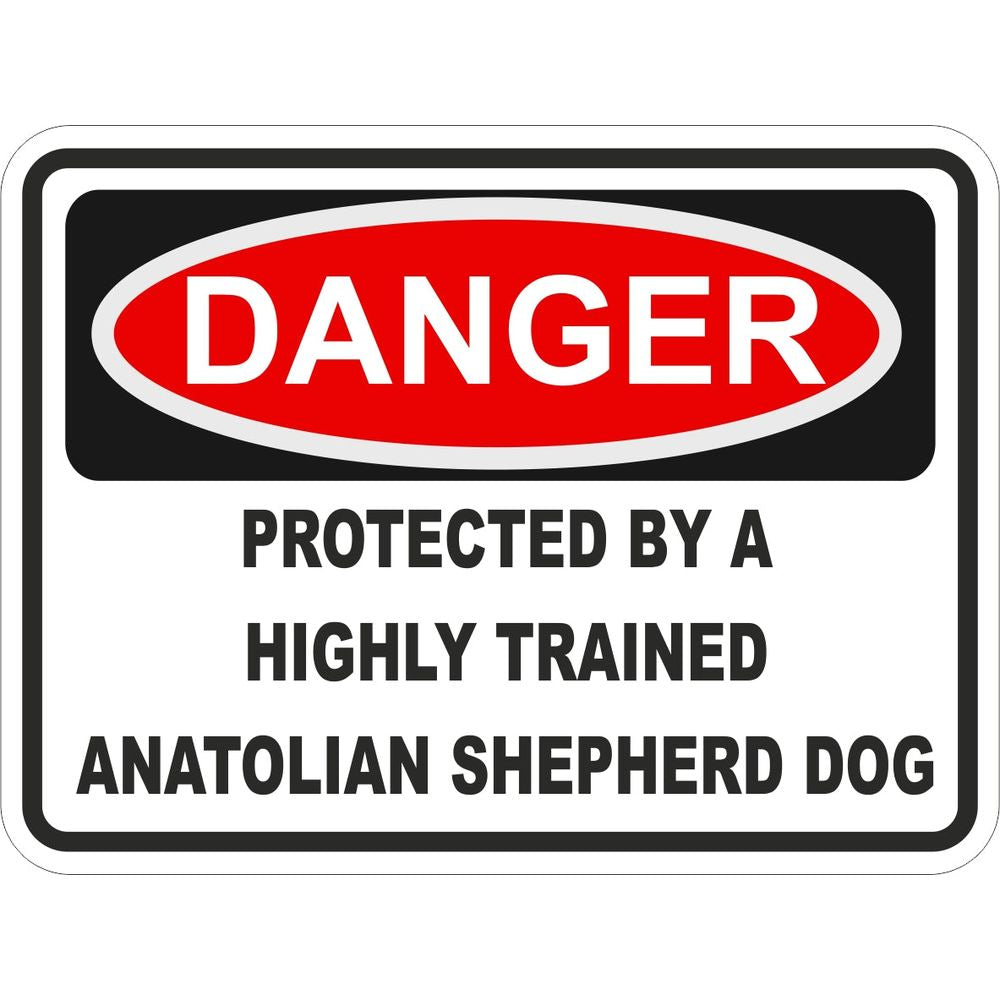 Anatolian Shepherd Dog