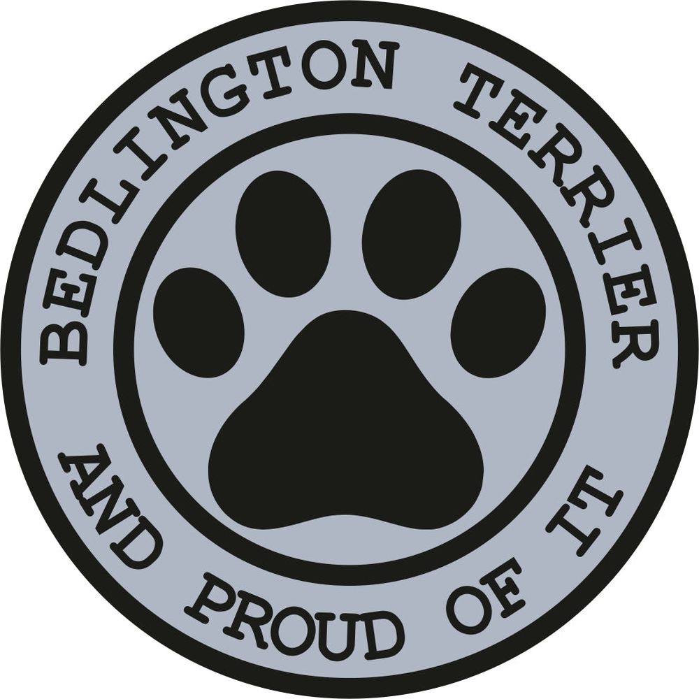 Bedlington Terrier Proud