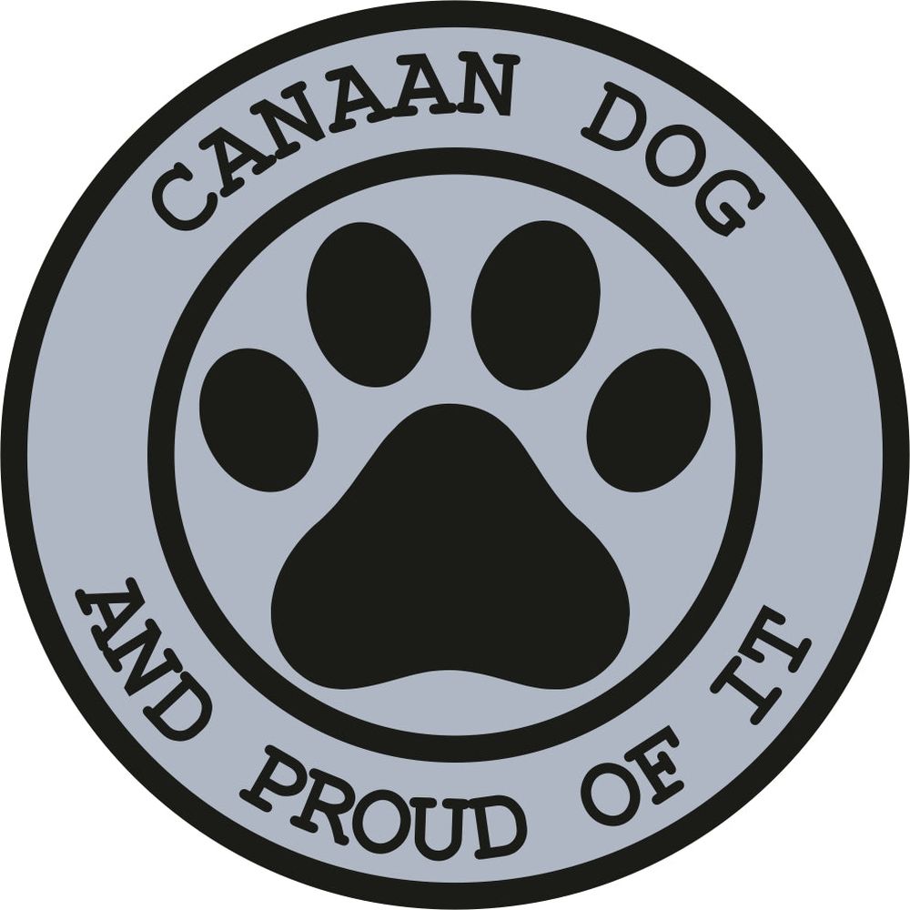Canaan Dog Proud