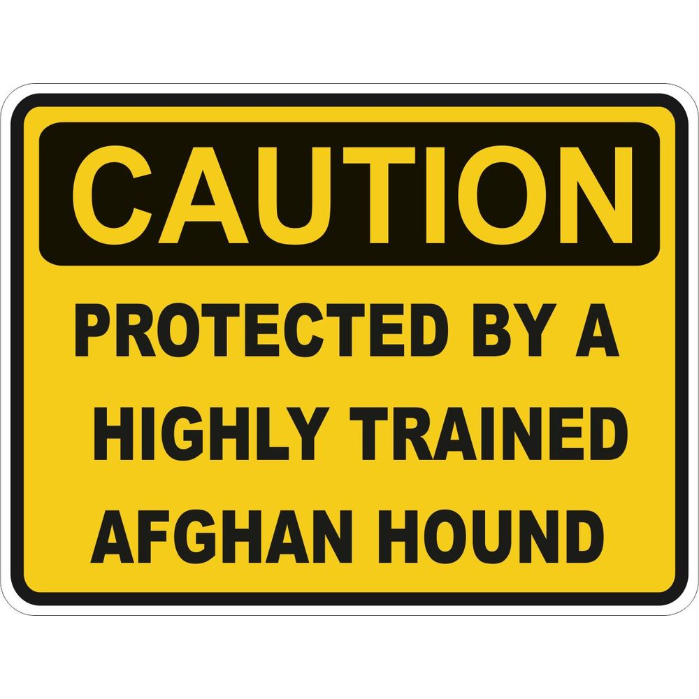 Caution Afghan Hound