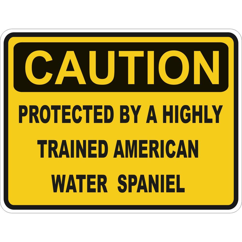 Caution American Water Spaniel