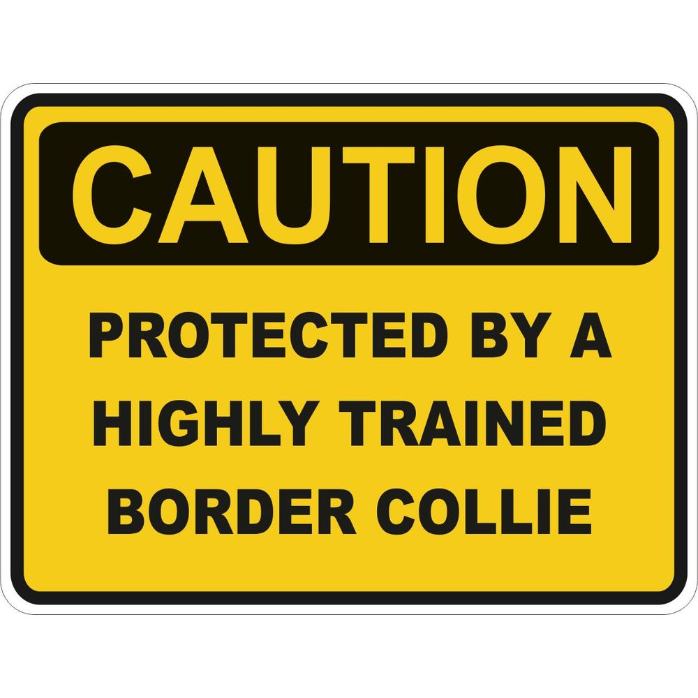 Caution Border Collie