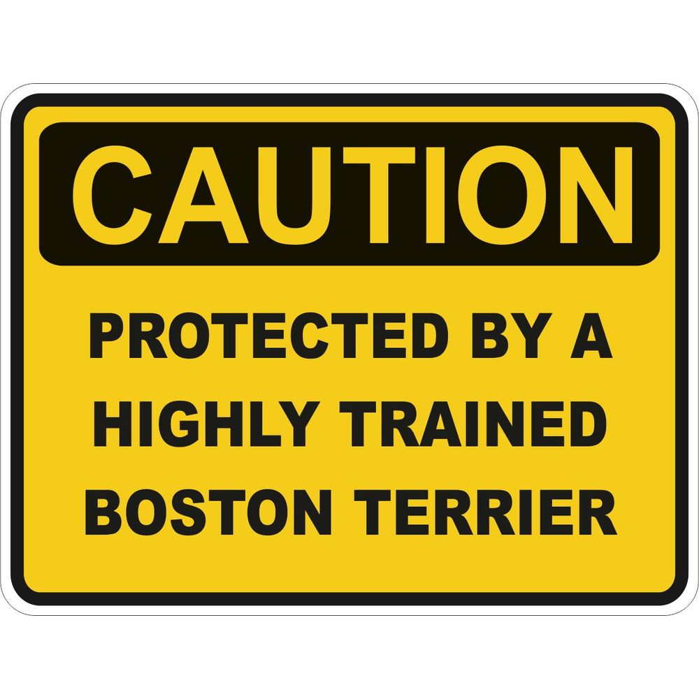 Caution Boston Terrier