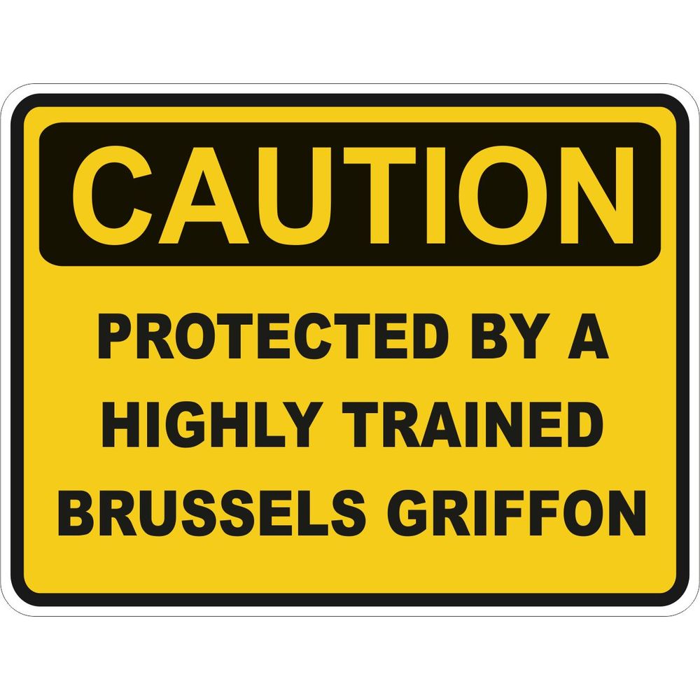 Caution Brussels Griffon