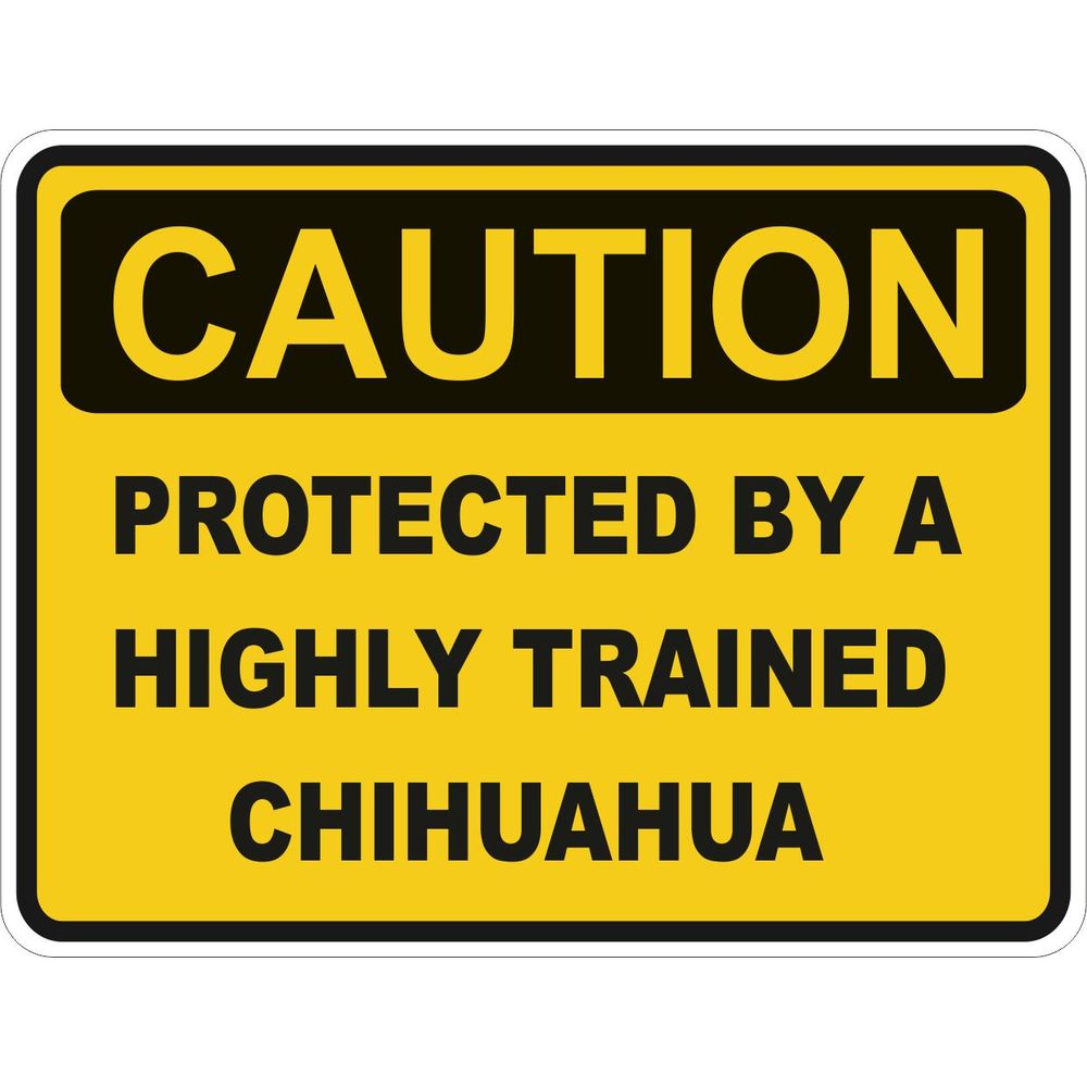 Caution Chihuahua