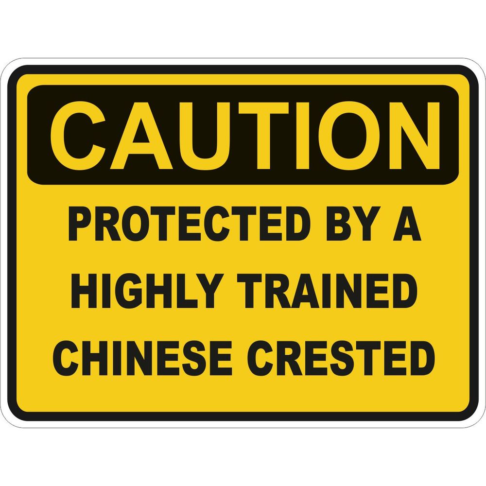 Caution Chinese Crested