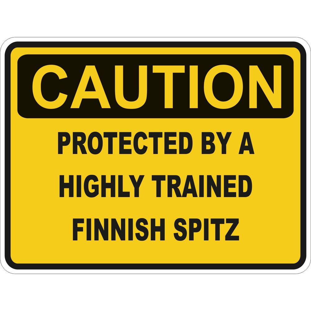Caution Finnish Spitz
