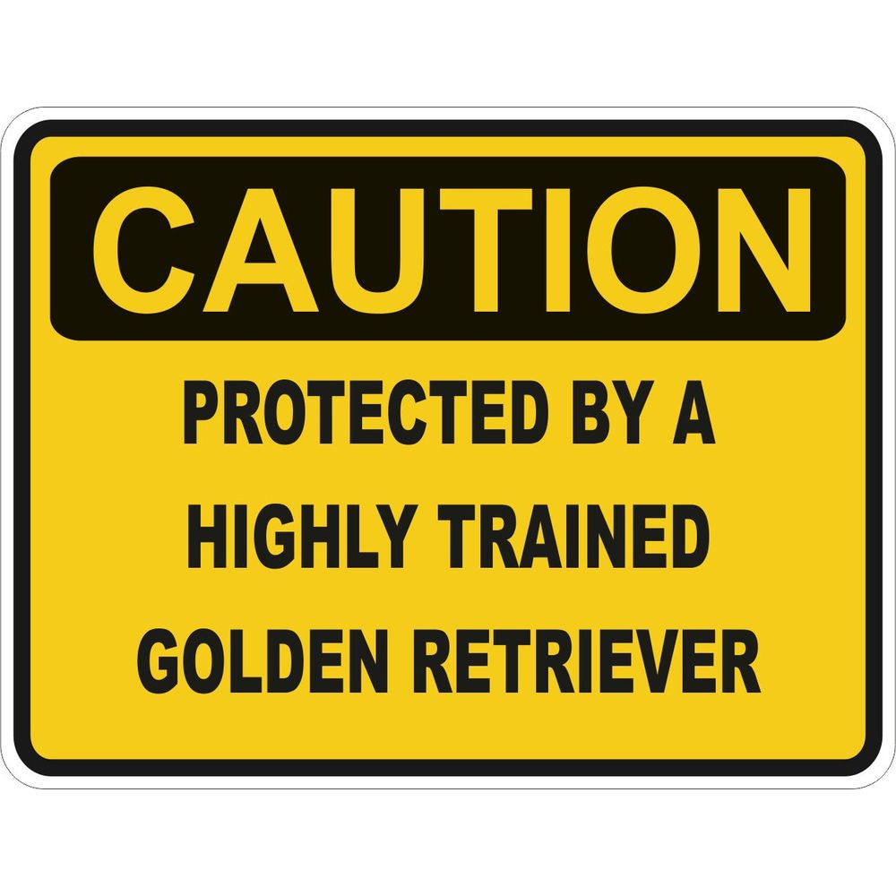 Caution Golden Retriever