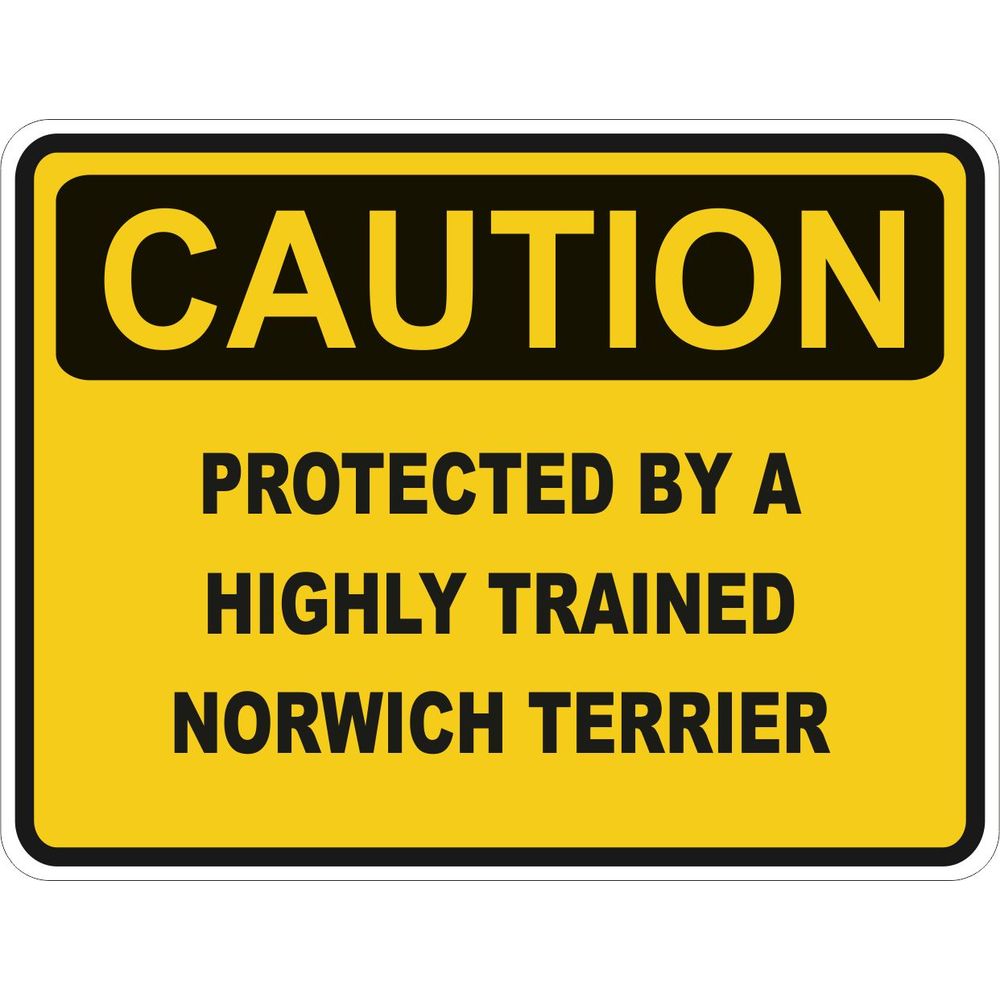 Caution Norwich Terrier