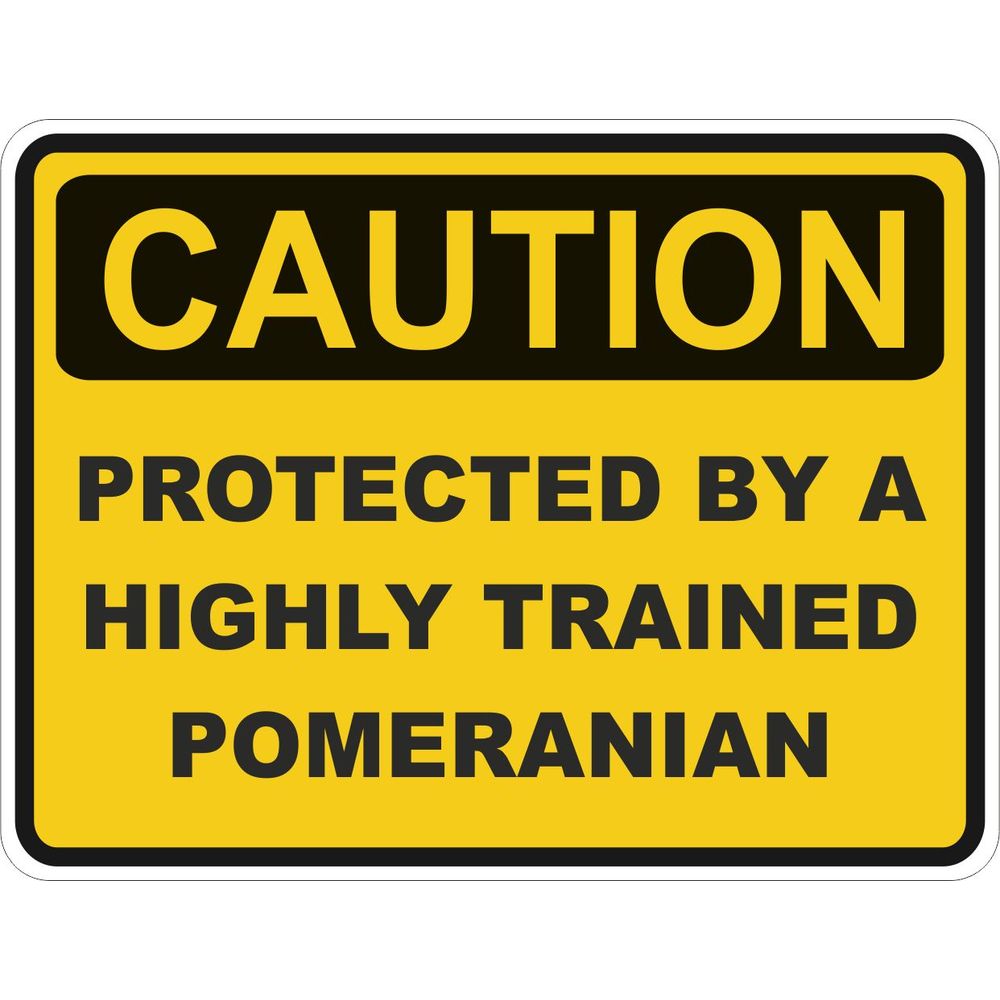 Caution Pomeranian