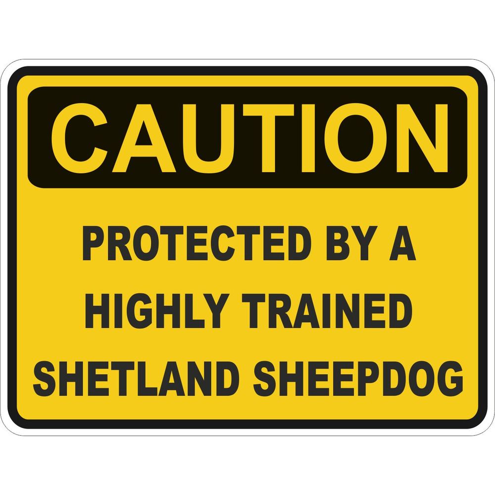 Caution Shetland Sheepdog