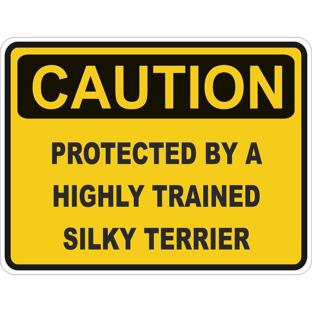 Caution Silky Terrier