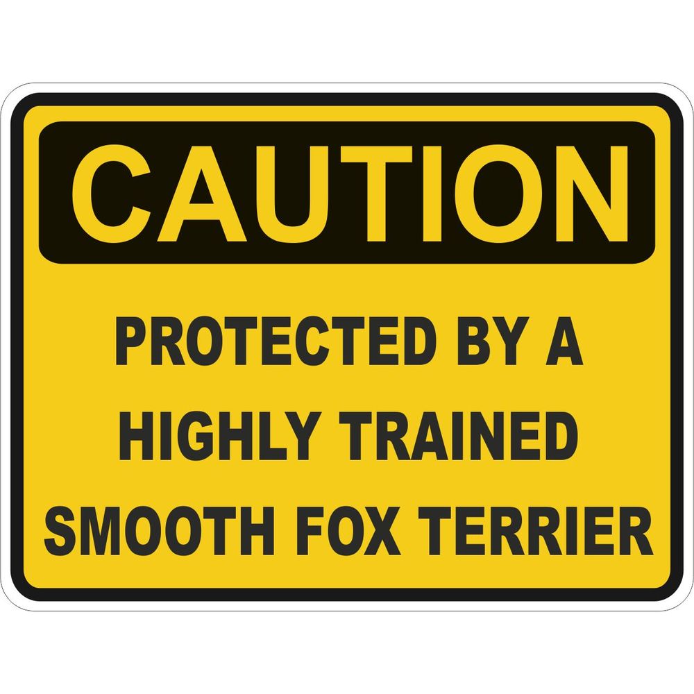Caution Smooth Fox Terrier