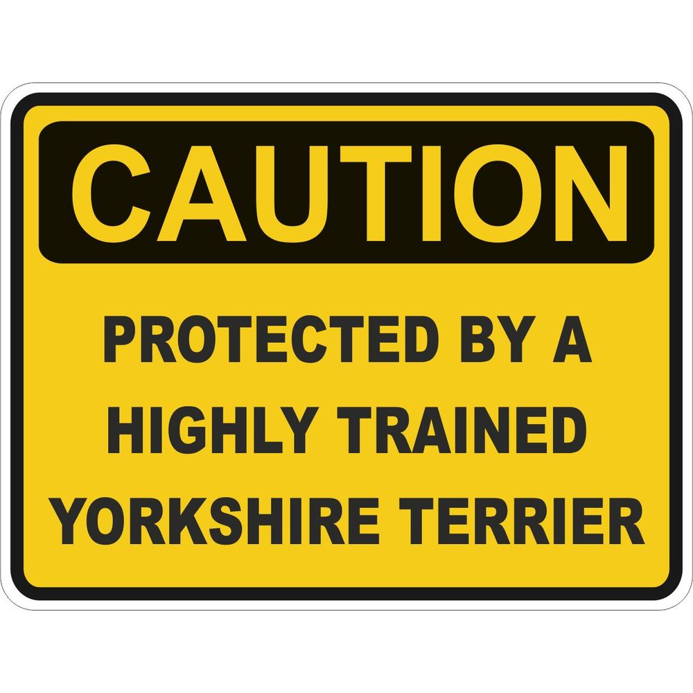 Caution Yorkshire Terrier