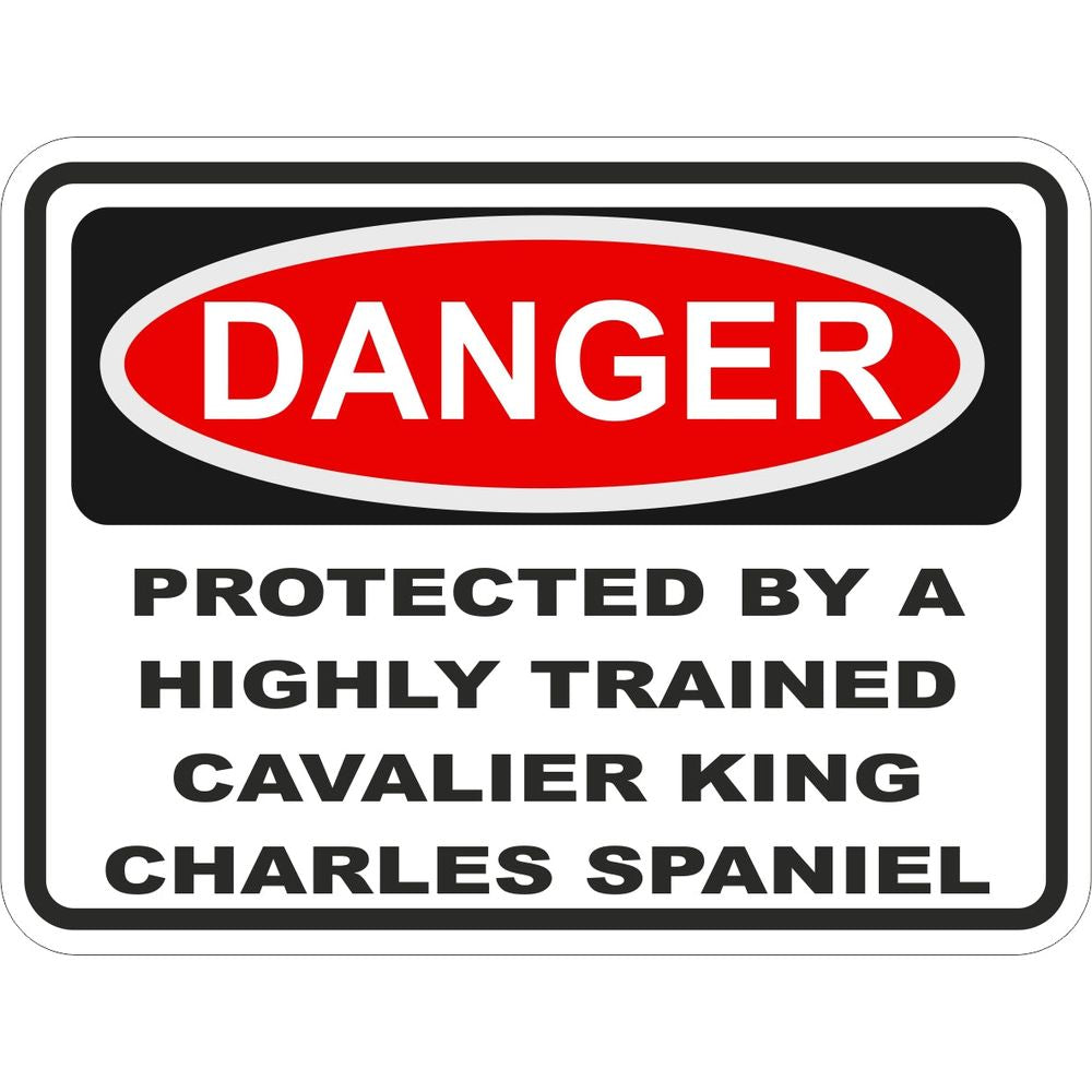 Cavalier King Charles Spaniel