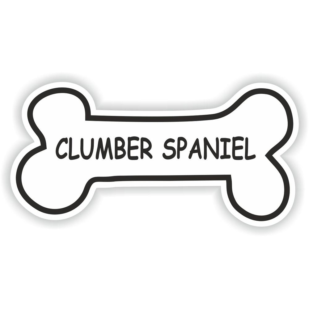 Clumber Spaniel