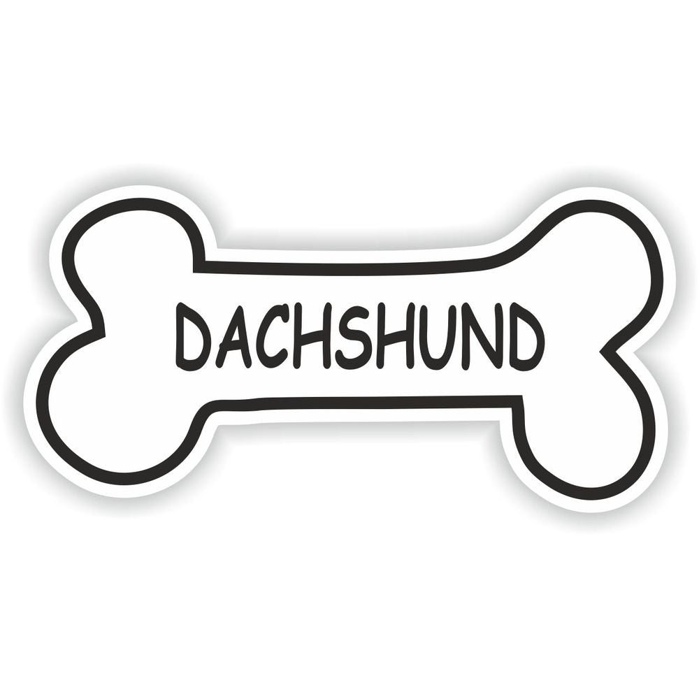 Dachshund