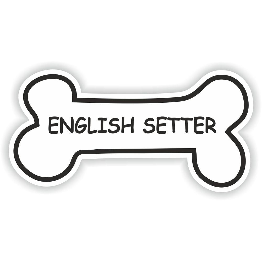 English Setter
