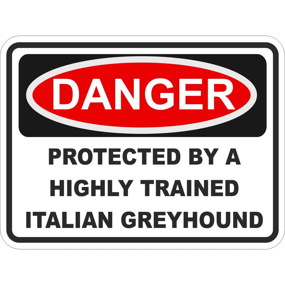 Italian Greyhound