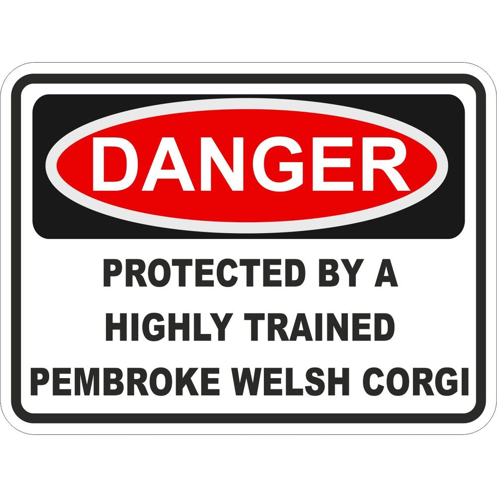 Pembroke Welsh Corgi