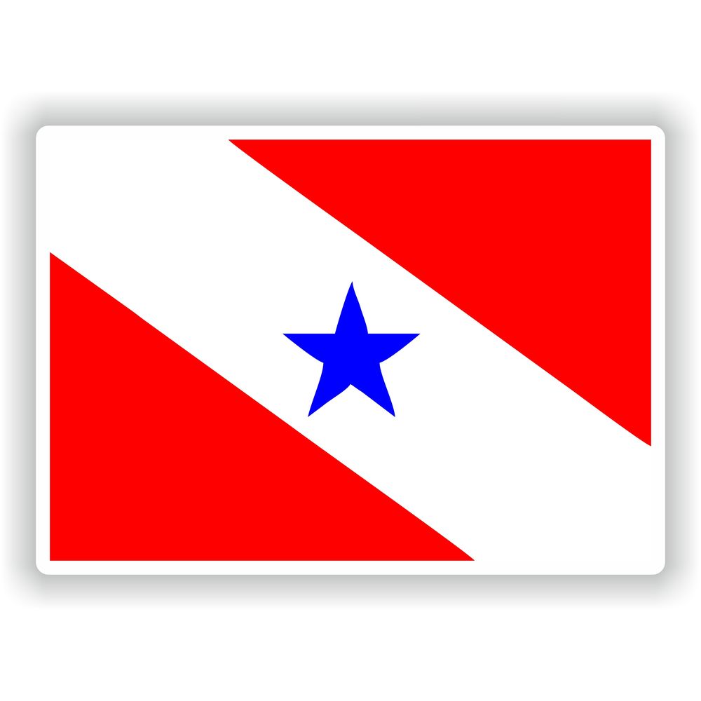 Para Flag