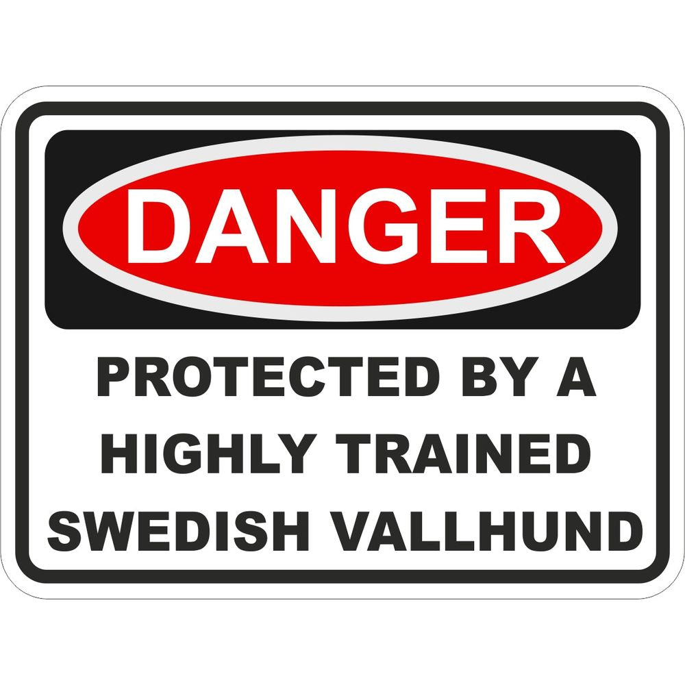 Swedish Vallhund