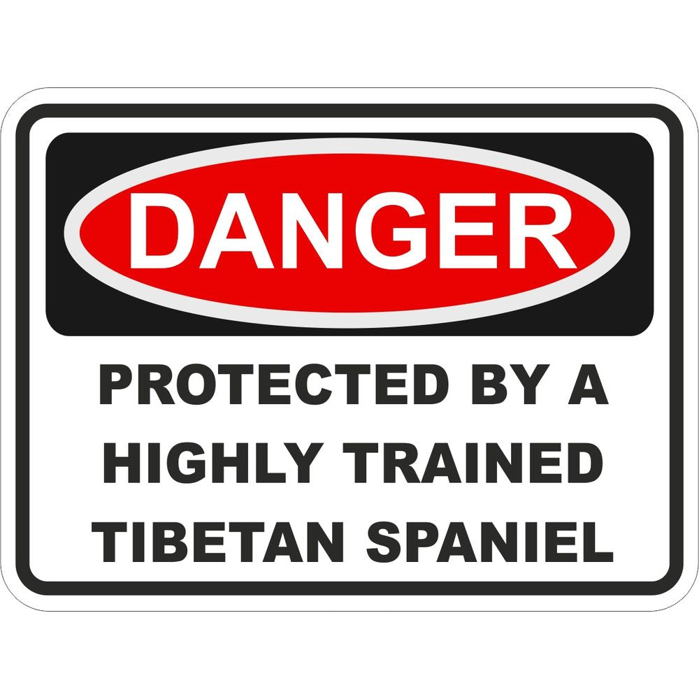 Tibetan Spaniel