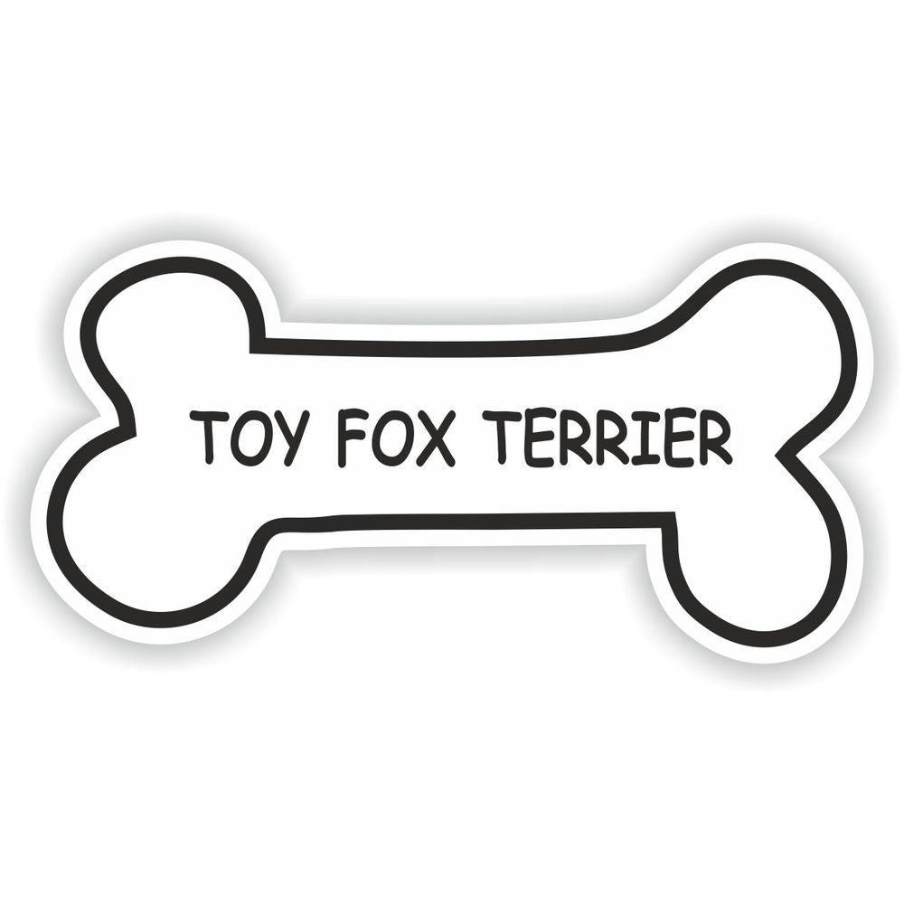 Toy Fox Terrier