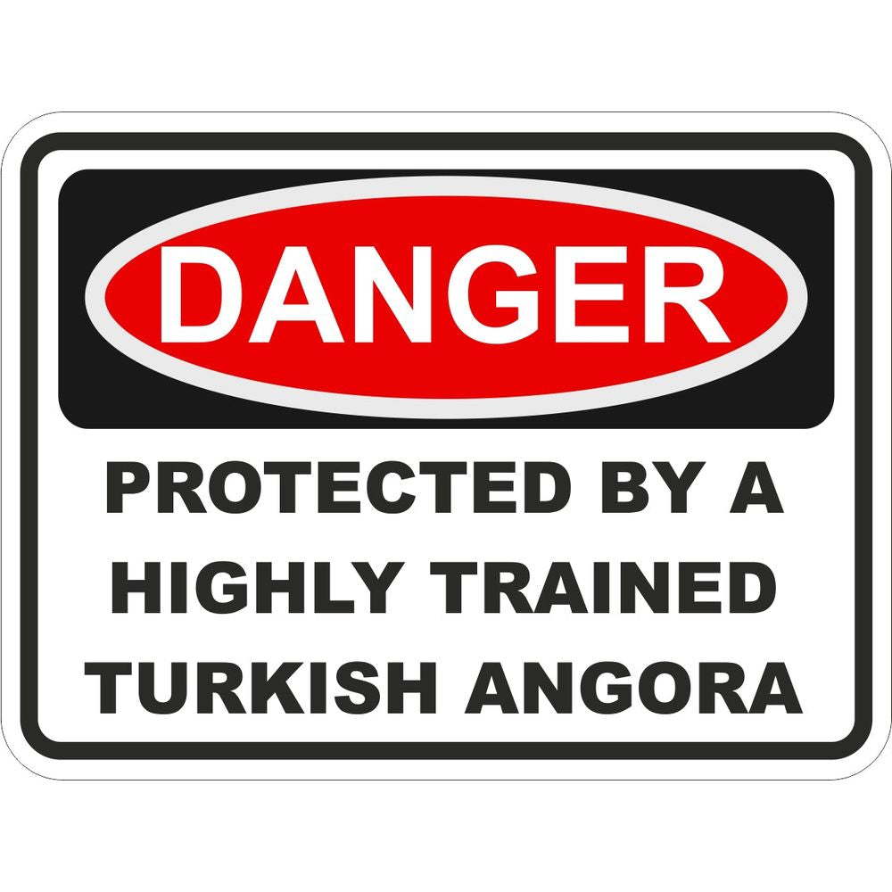 Turkish Angora