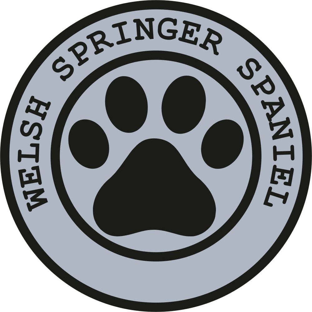 Welsh Springer Spaniel