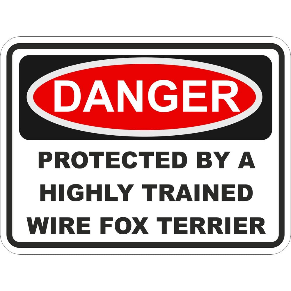 Wire Fox Terrier