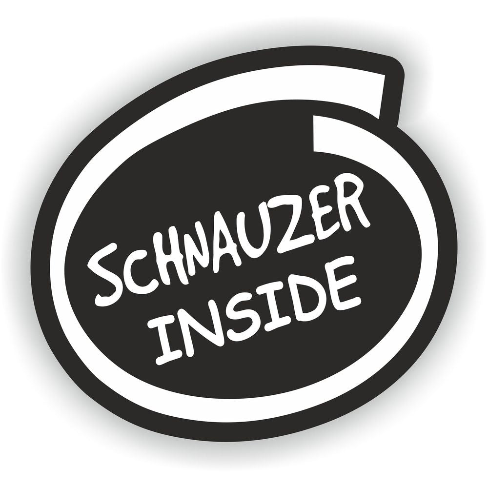 Schnauzer Inside Dog