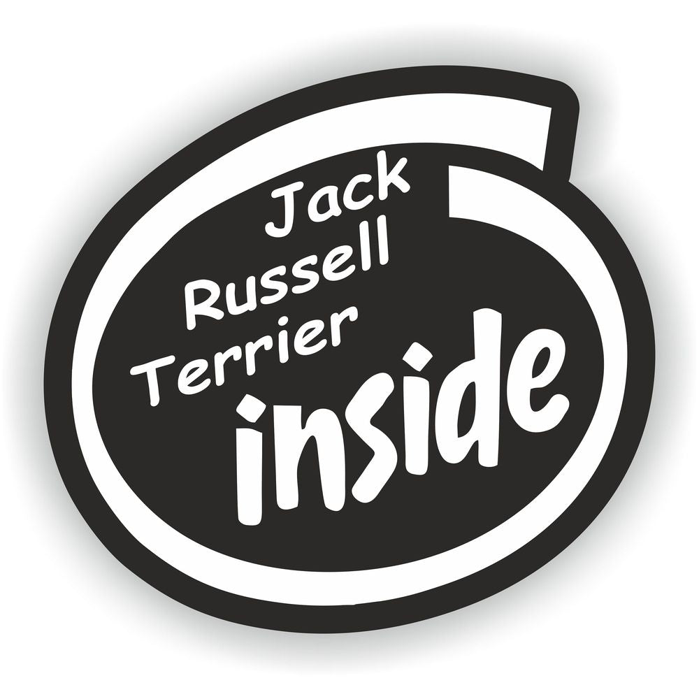 Jack Russell Terrier Inside Dog