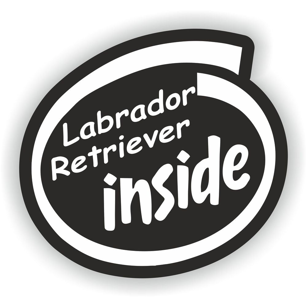 Labrador Retriever Inside Dog