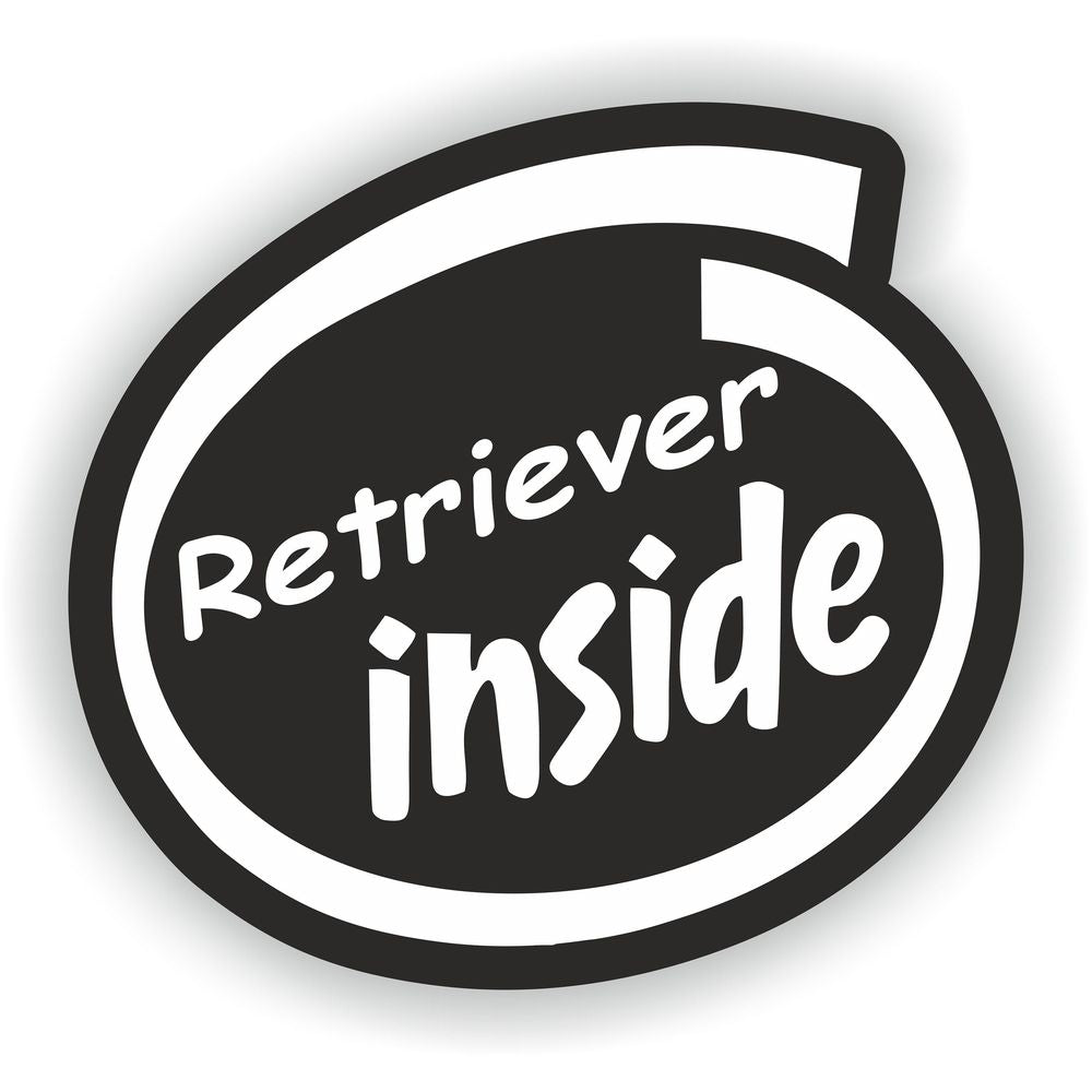 Retriever Dog
