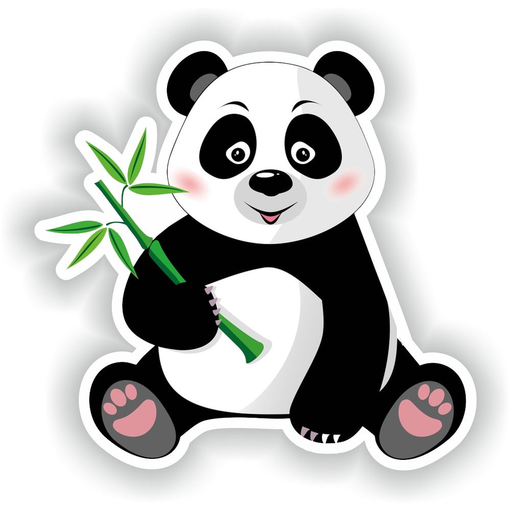 Panda #01