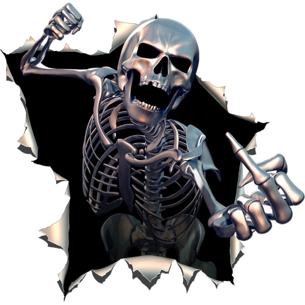 Skull Skeleton Middle Finger Giving Punch #36