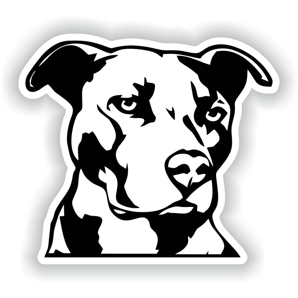 Pit Bull #01
