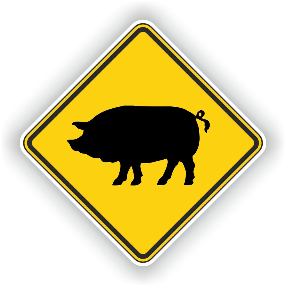 Pig Warning