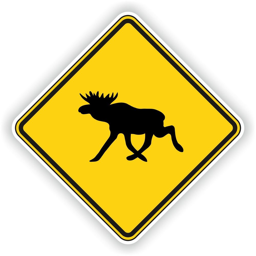 Moose