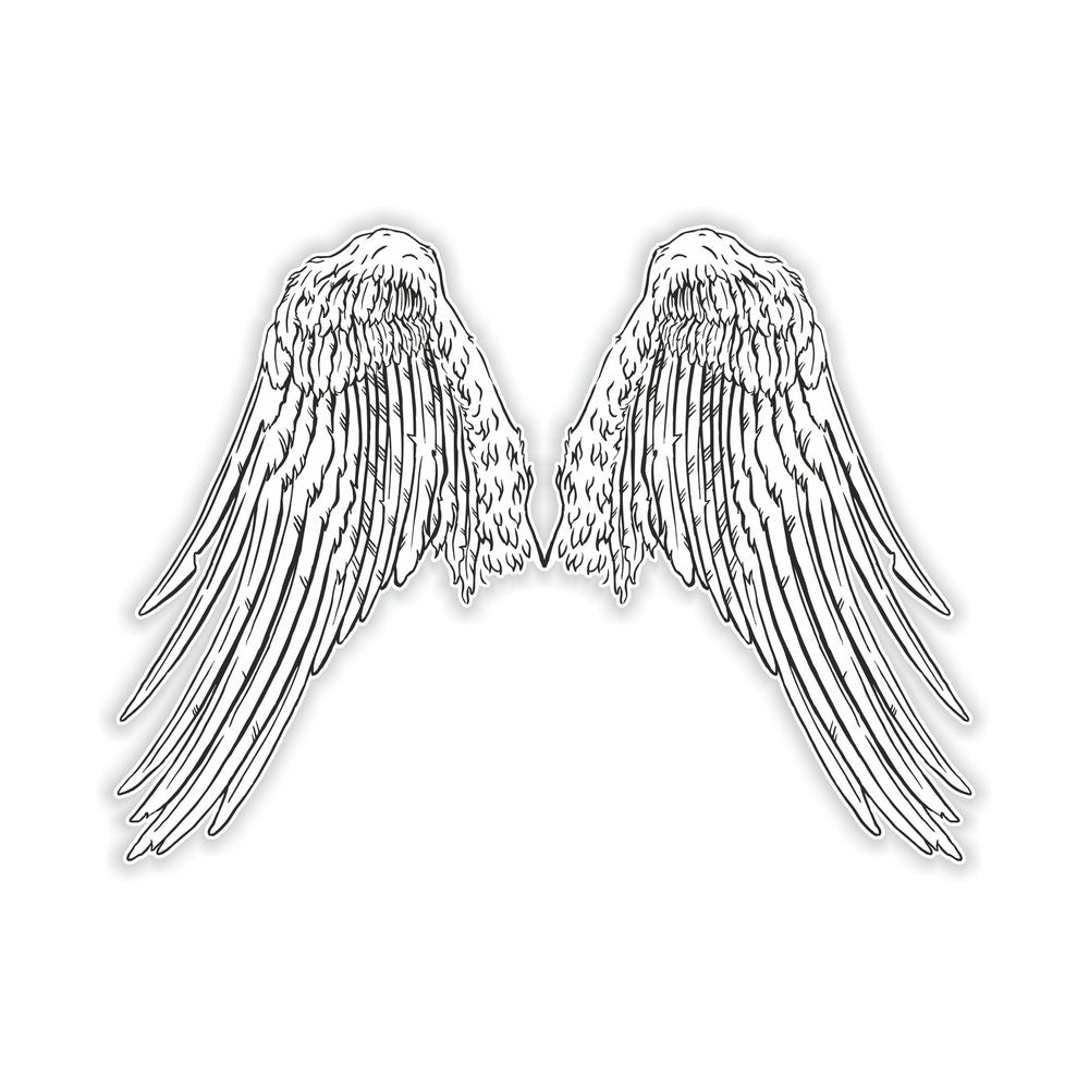 Wings 13