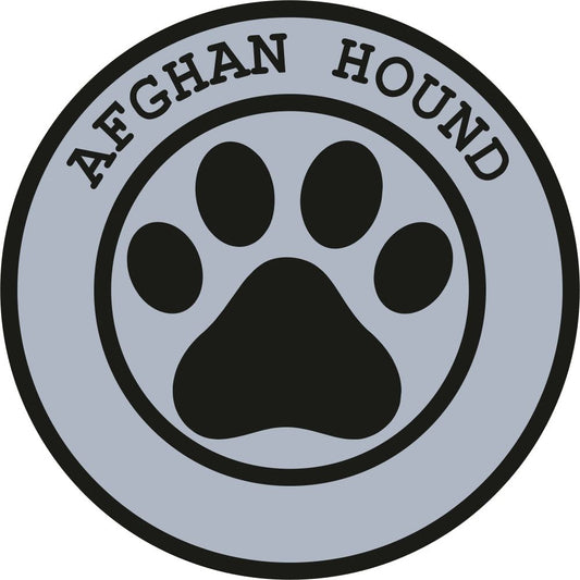 Afghan Hound