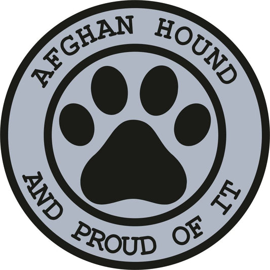 Afghan Hound Proud