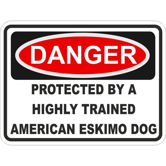 American Eskimo Dog