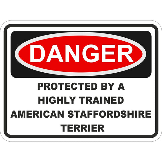 American Staffordshire Terrier