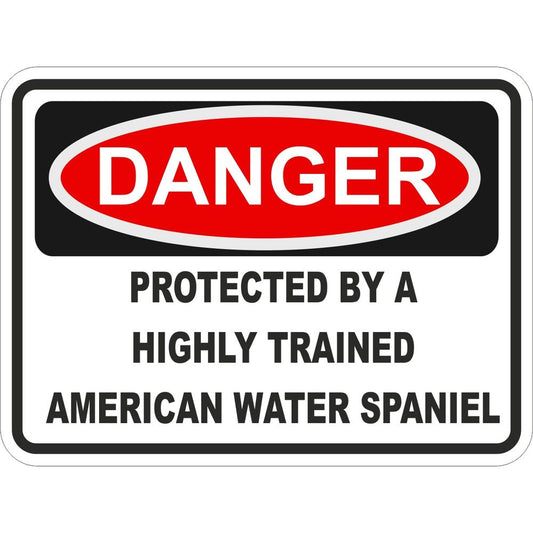 American Water Spaniel